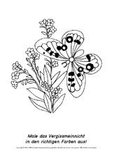 Frühlingsblüher-Ausmalbilder 22.pdf